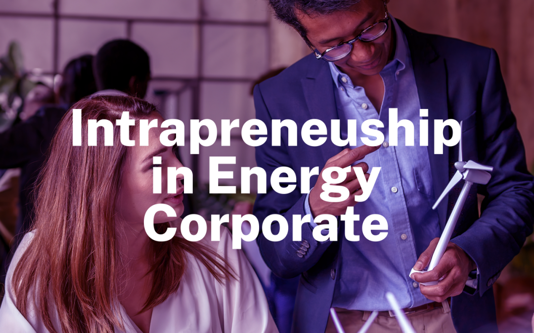 Empowering Intrapreneurs to Drive Decarbonization