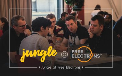 How Free Electrons changed Jungle’s mind about accelerators